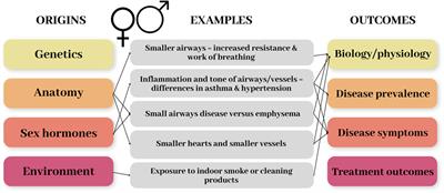 Frontiers Sex Matters The Frequently Overlooked Importance Of